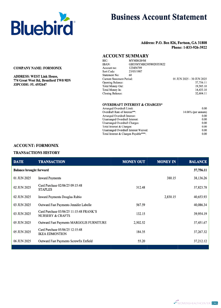 Download USA Bluebird firm account statement Word and PDF template Photoshop template
